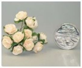 Paper Roses - Buff