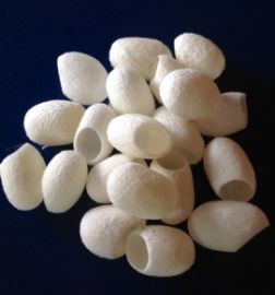Silk Cocoons (undyed)